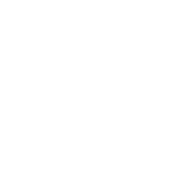 Logo Convenção Manz Workshops
