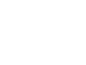 Logo Convenção Manz Workshops